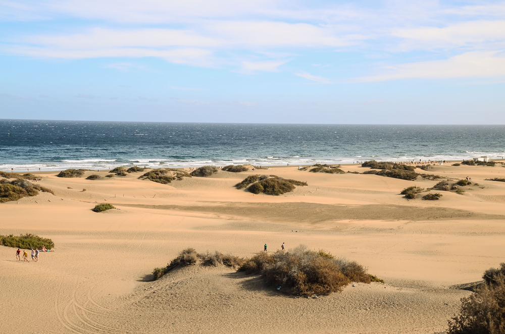 playa de maspalomas orilla